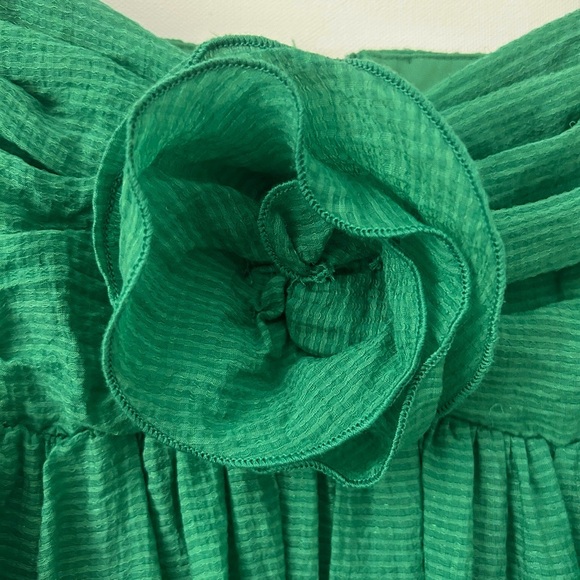 Taylor Rosette Mini Dress Garden Girl Whimsy Darty Rush Green NWOT Size 10 - Picture 4 of 15